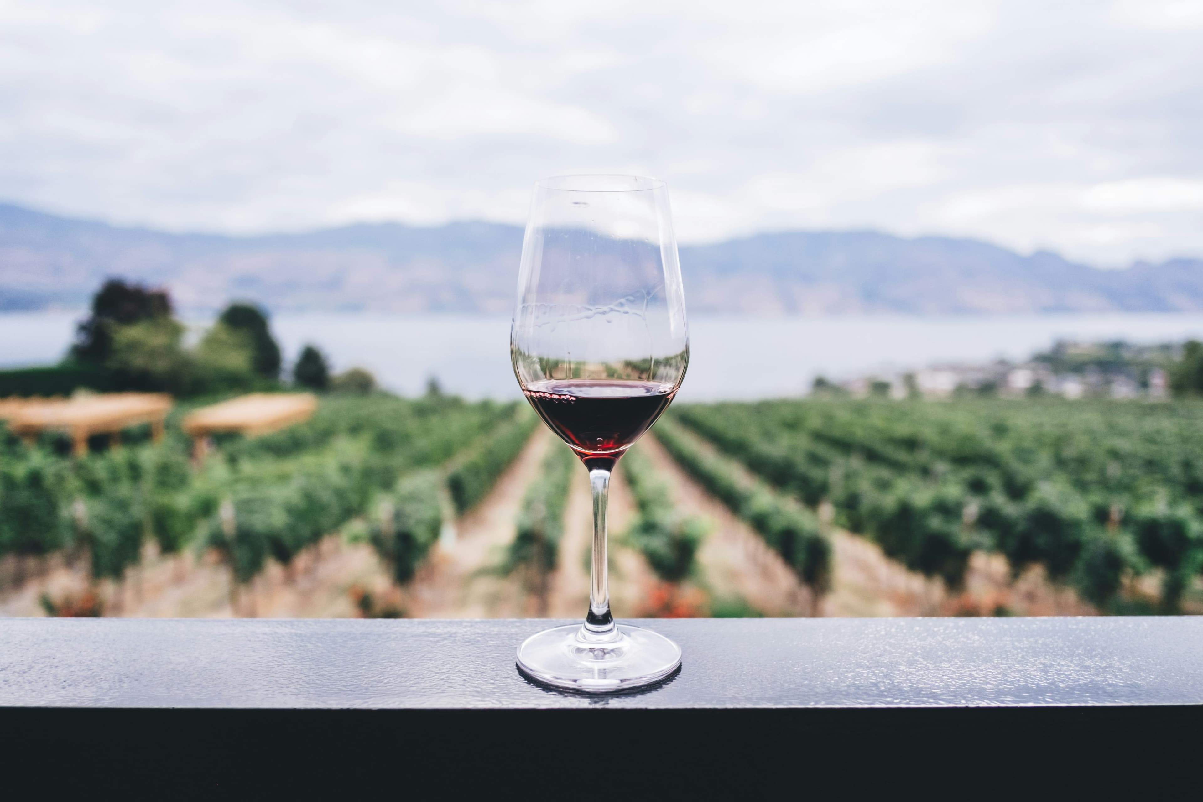 Weinprobe unter Freunden